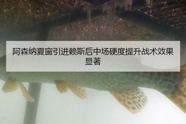 a-sen-na-xia-chuang-yin-jin-lai-si-hou-zhong-chang-ying-du-ti-sheng-zhan-shu-xiao-guo-xian-zhu-3-999.jpg