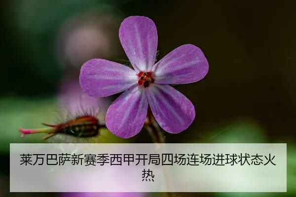 莱万巴萨新赛季西甲开局四场连场进球状态火热
