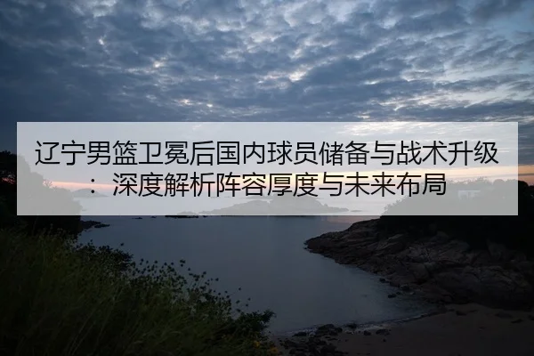 liao-ning-nan-lan-wei-mian-hou-guo-nei-qiu-yuan-chu-bei-yu-zhan-shu-sheng-ji-shen-du-jie-xi-zhen-rong-hou-du-yu-wei-lai-2-772.jpg