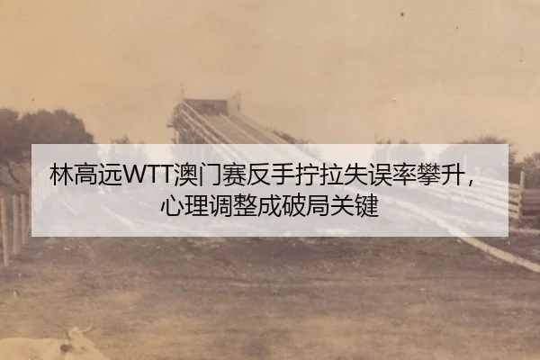 lin-gao-yuan-ao-men-sai-fan-shou-ning-la-shi-wu-lv-pan-sheng-xin-li-tiao-zheng-cheng-po-ju-guan-jian-3-803.jpg